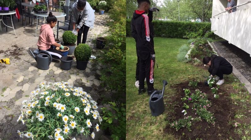 Unge møter eldre i HFS