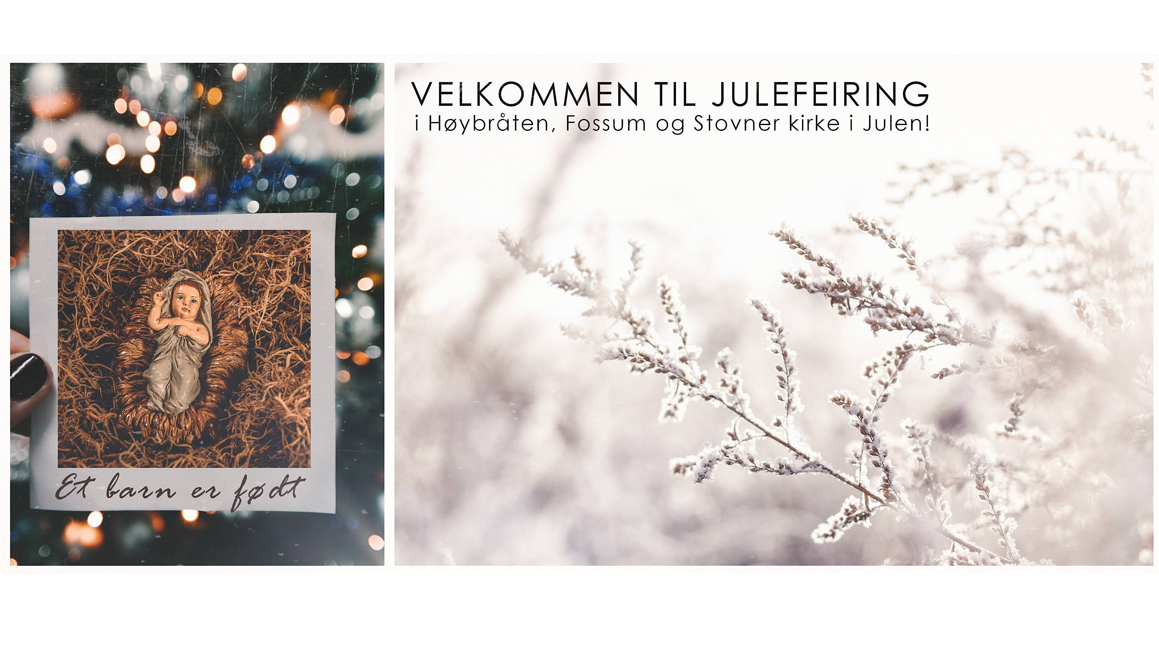 Source: www.pexels.com