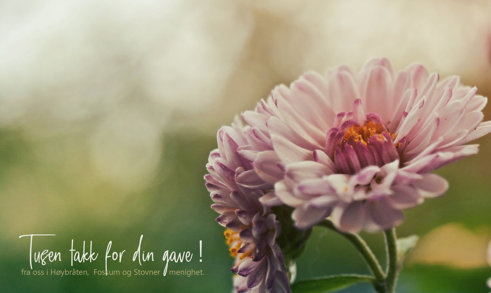 Source: www.pexels.com