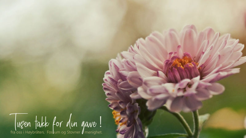 Source: www.pexels.com