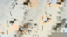 Bilde av Jessica Lewis fra Pexels