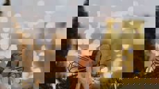 Photo by lilartsy from Pexels