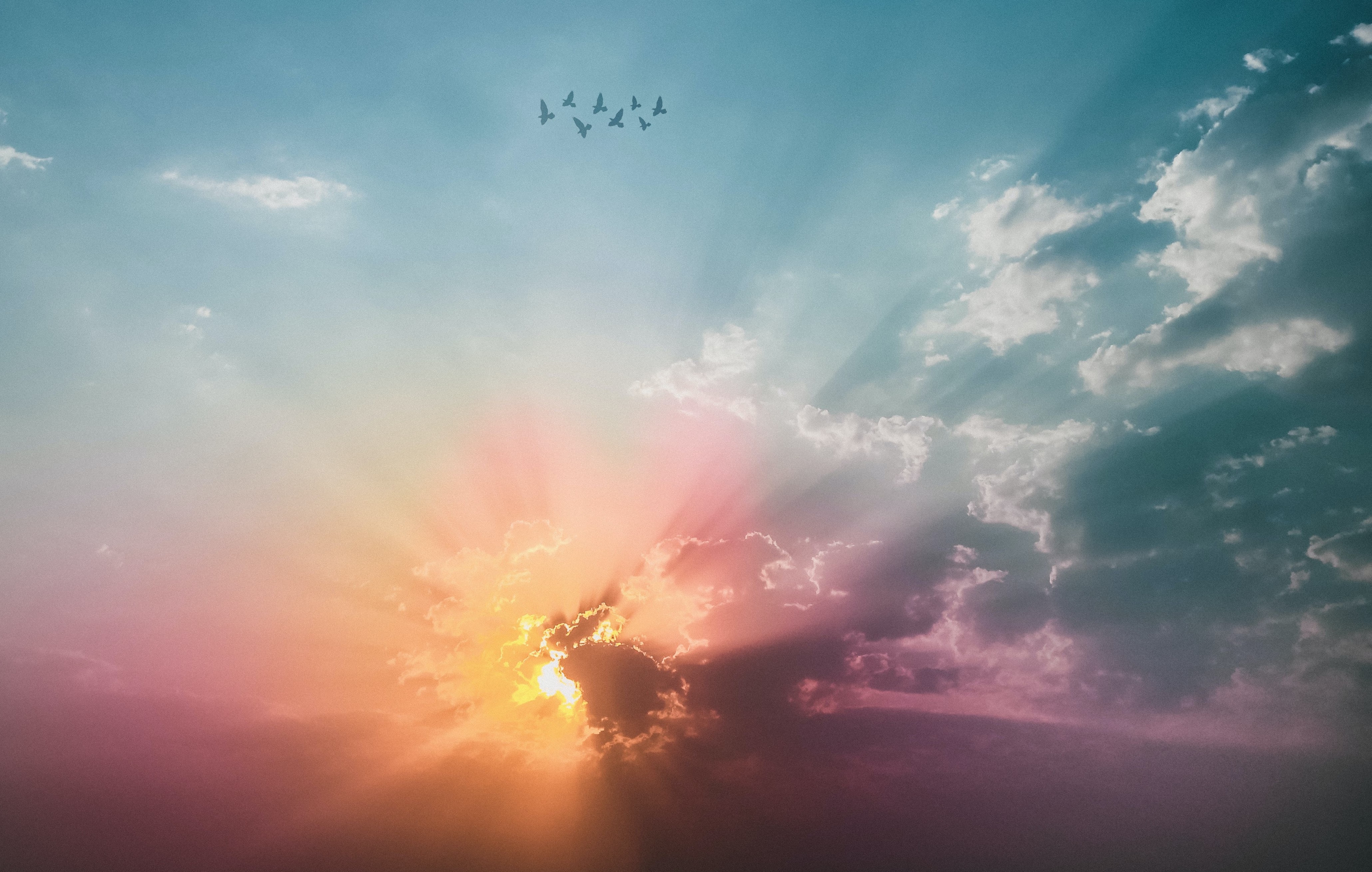 Photo by Rahul Pandit from Pexels