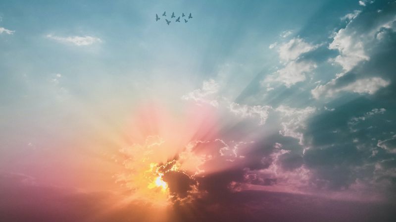 Photo by Rahul Pandit from Pexels