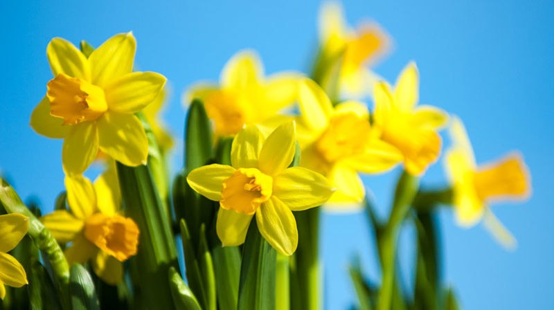 VELKOMMEN TIL PÅSKEFEIRING I FROGNER!