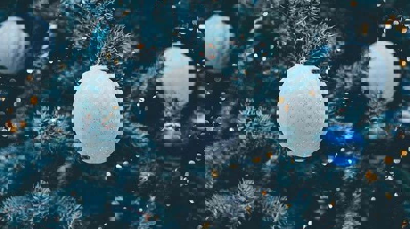 JULEGRANTENNING PÅ BJØRNDAL