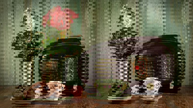 Bilde fra Pixabay_Lubos Houska