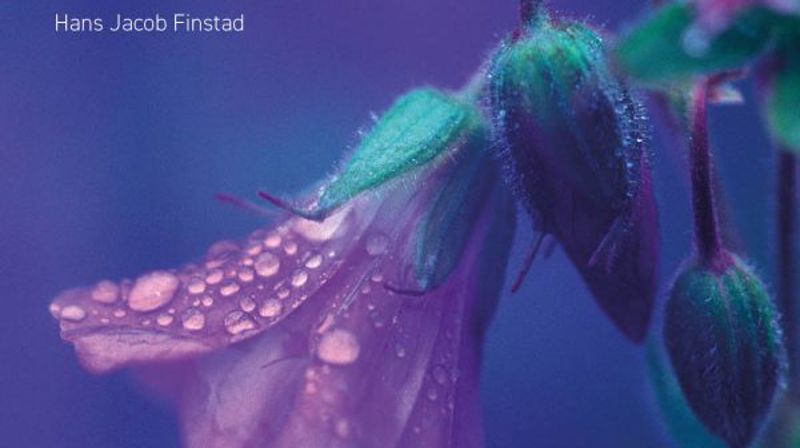 Seniortreff 5.oktober