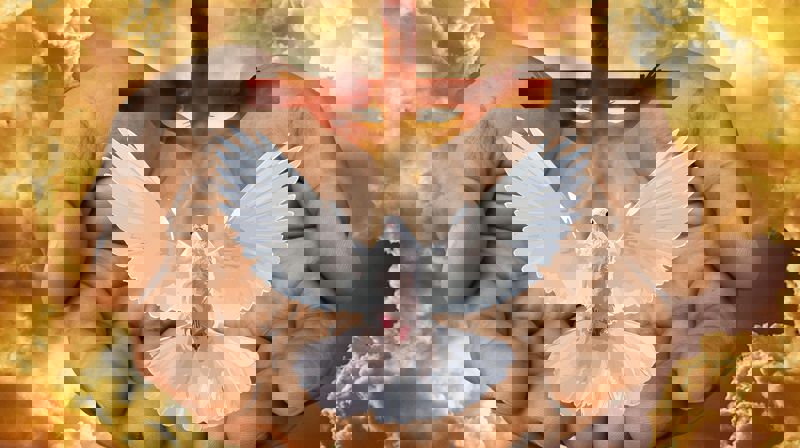 Jesus kommer til oss!