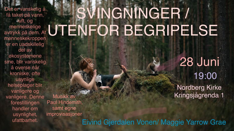 SVINGNINGER / UTENFOR BEGRIPELSE