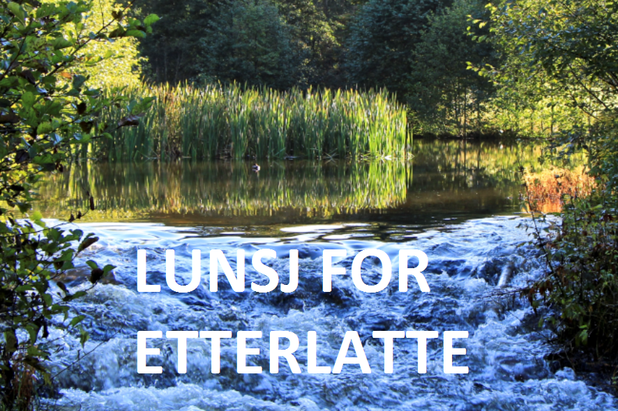 Lunsj for etterlatte