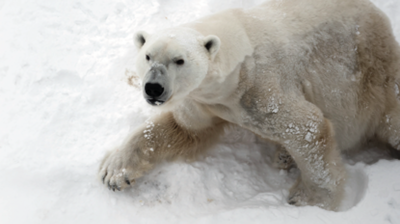Temakveld med Sunniva Gylver på Ljan