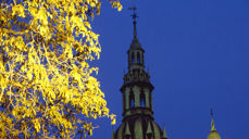 Kveldsstemning ved Oslo domkirke