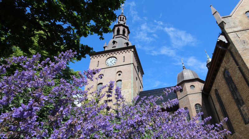 Fast ukeprogram i Oslo domkirke