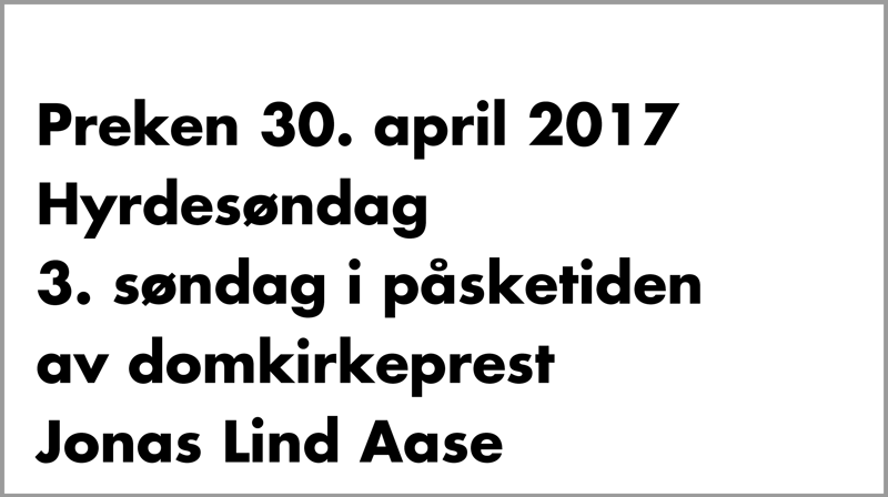 Hvilket bilde ser du for deg etter å ha hørt dagens bibeltekster?