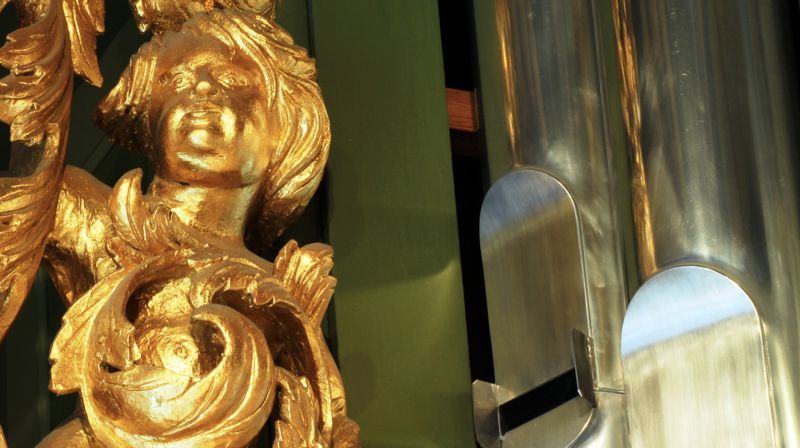 Det livet som bryter frem fra døden