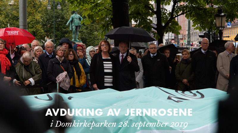 Jernrosene i Domkirkeparken
