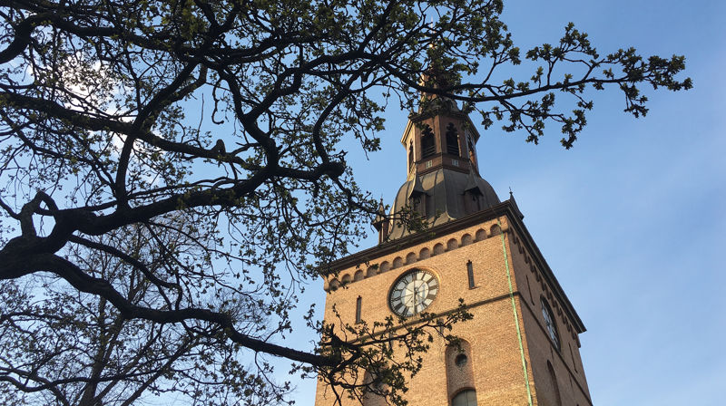 Oslo domkirke 25. juli–1. august