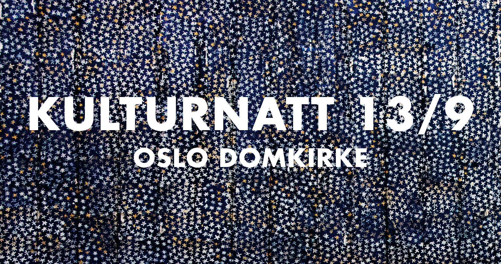 Kulturnatt i Oslo domkirke