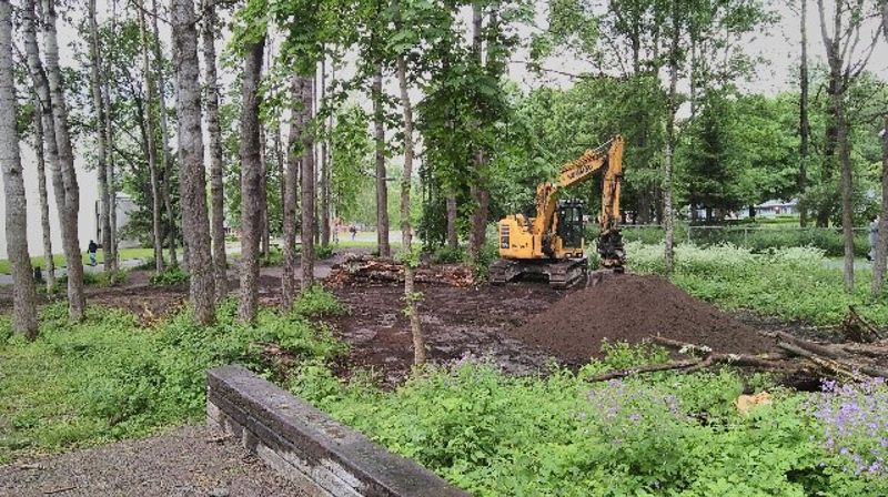 Haugerudparken - Biologisk mangfold og park i lokalmiljøet?!