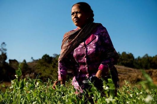 Østre Aker misjonsforening