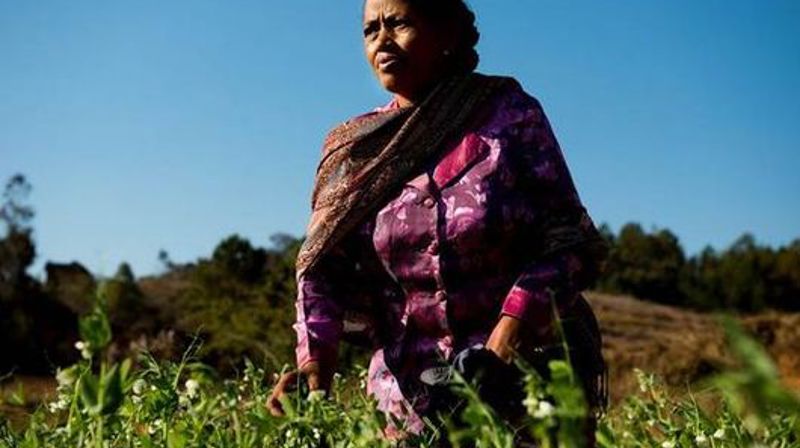 Østre Aker misjonsforening