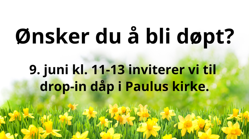 Drop-in dåp i Paulus kirke