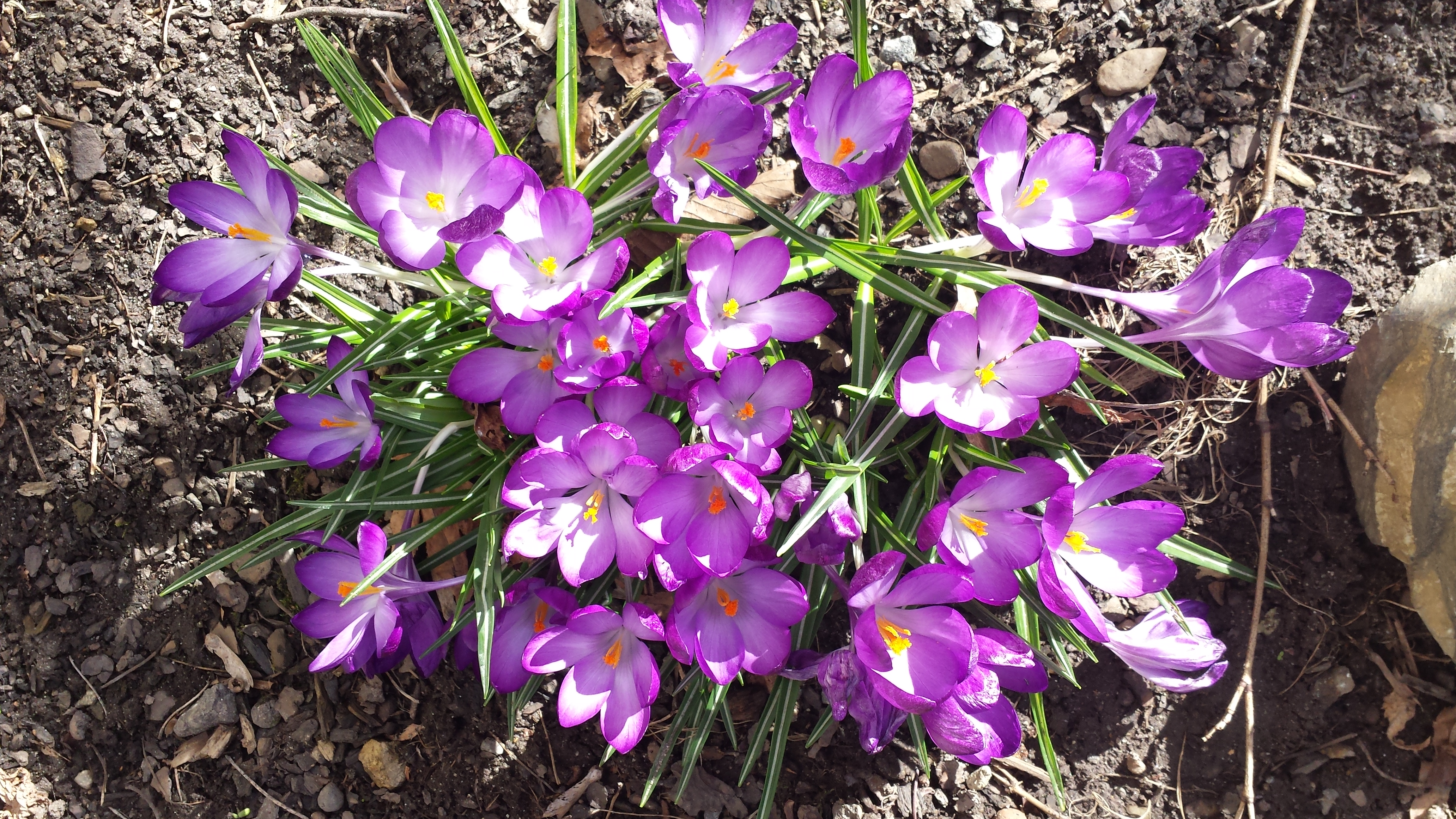 Vil du støtte vårt arbeid som fast giver?