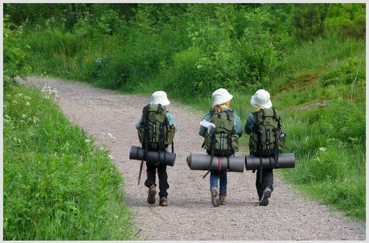 Ris KFUK-KFUM-speidere