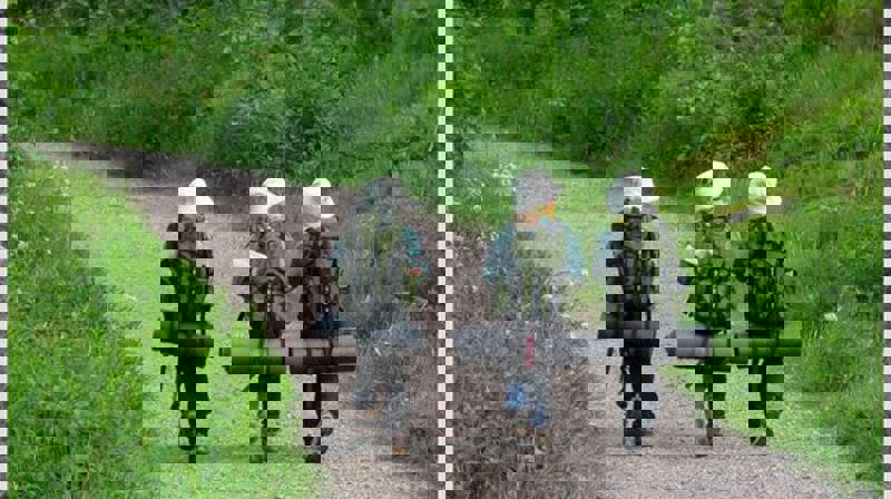 Ris KFUK-KFUM-speidere