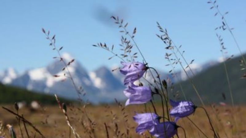 Nå åpner savnet sine øde vidder.