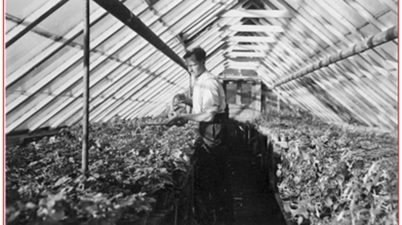 "Gartneren fra Sagene som ble en hovedmann i krigens største redningsaksjon"