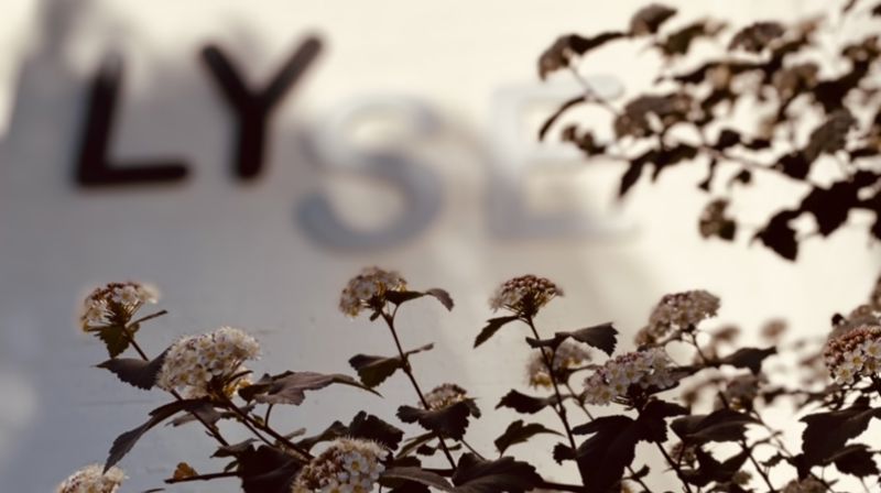 Oppstart av faste aktiviteter Høsten 2022