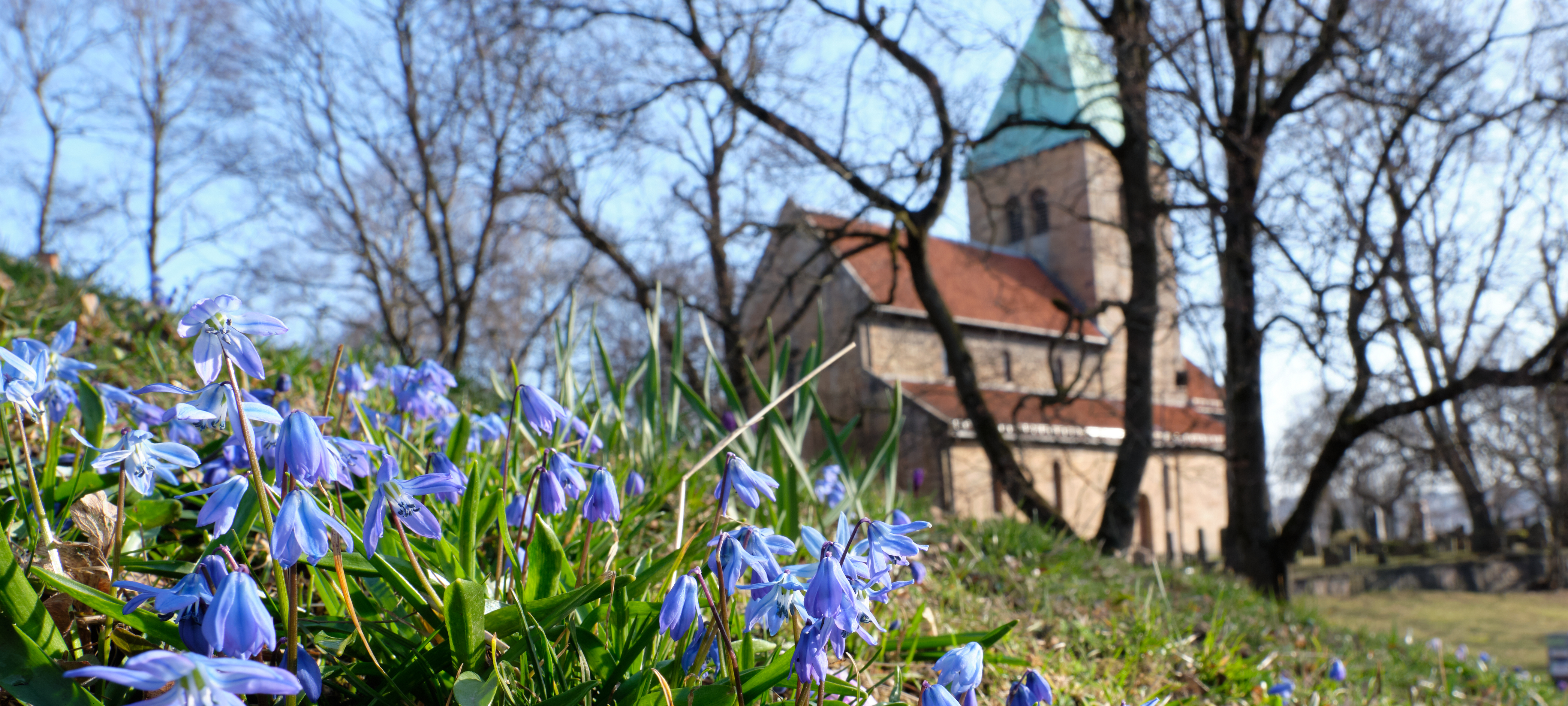 Toppbilde for St. Hanshaugen sokn