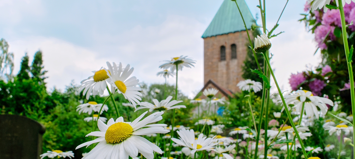 Toppbilde for St. Hanshaugen sokn