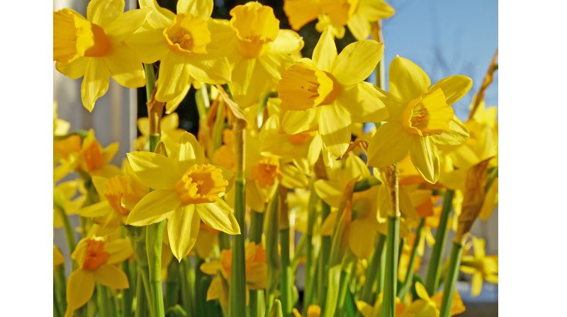 Slik ser påsken 2020 ut i Ilen menighet