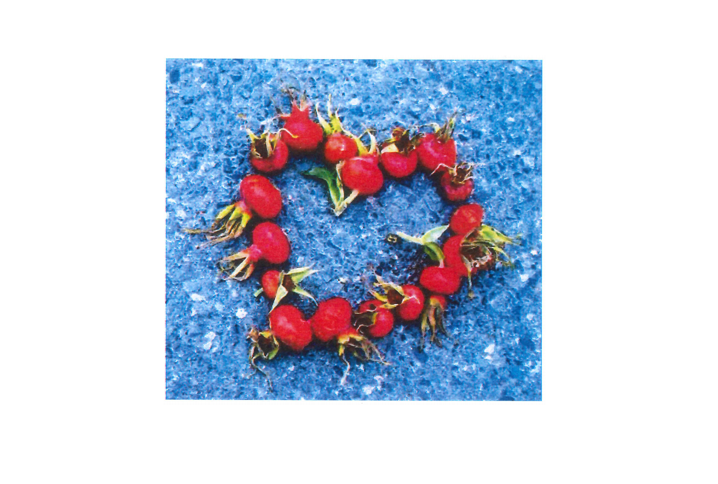 Foto: Gyda Wirgenes Singstad