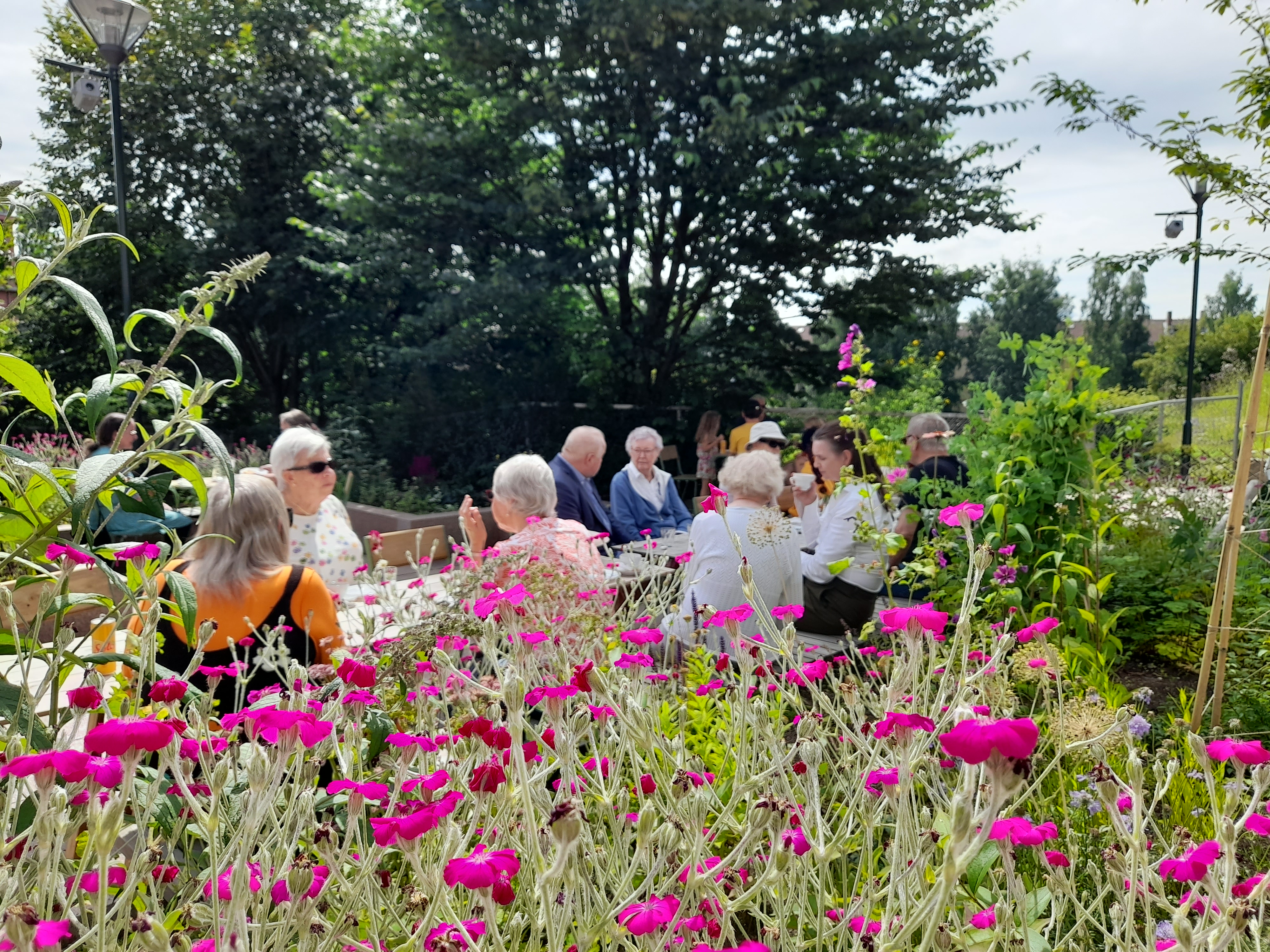 Bli frivillig på Formiddagstreff!