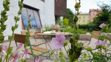 Foto: Andrine Elnes Rabbevåg