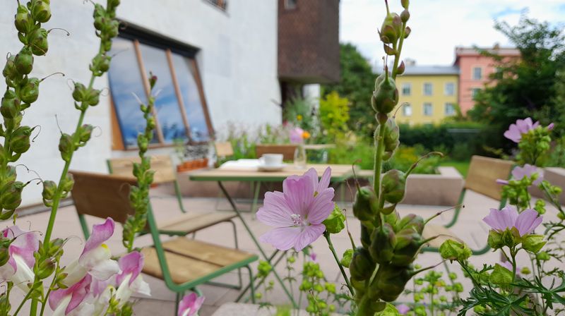 Foto: Andrine Elnes Rabbevåg