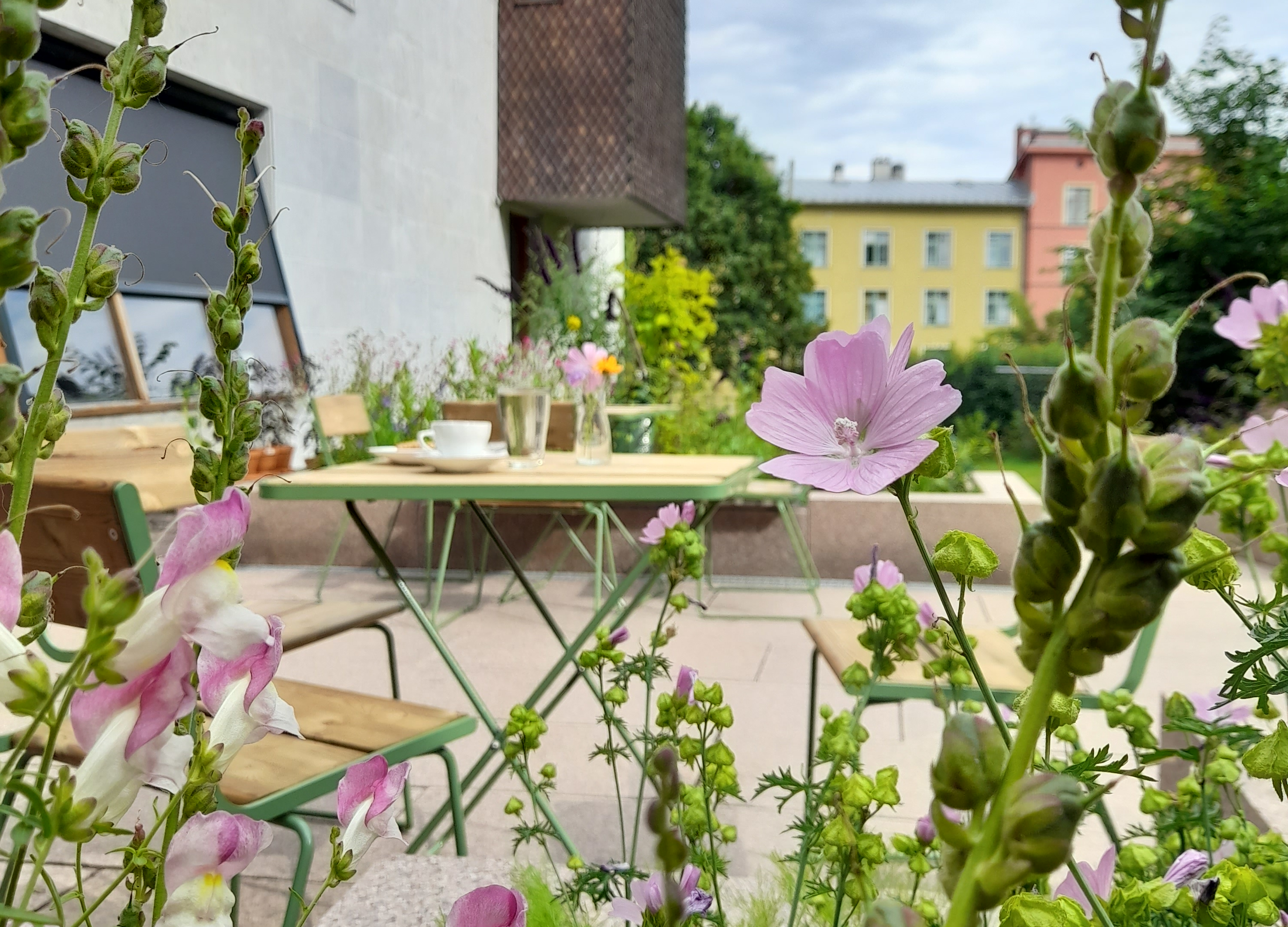 Torshov kirkehage – jord og himmel