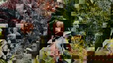 På familiespeideren i Torshov kan unge og eldre gjøre en viktig innsats. Foto: Unsplash