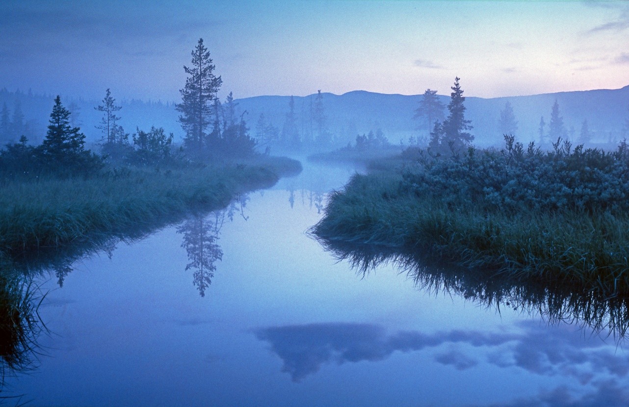 Foto: Hans Jacob Finstad