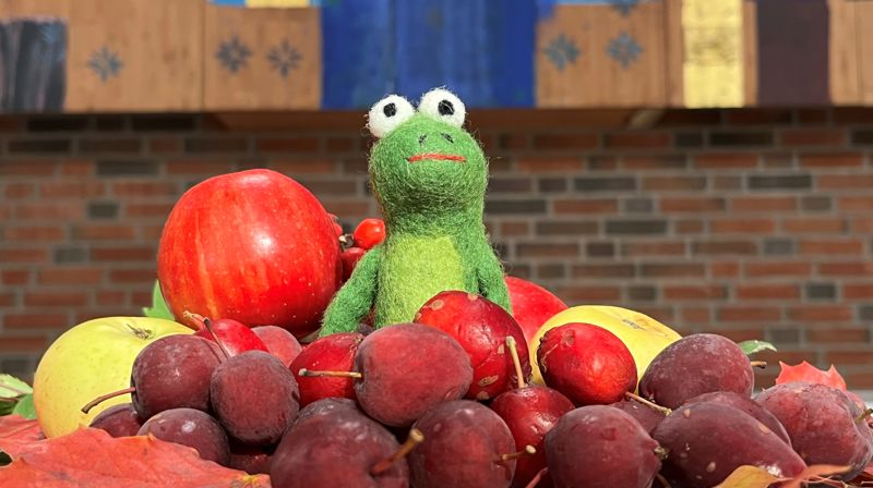 Familiegudstjeneste og høsttakkefest