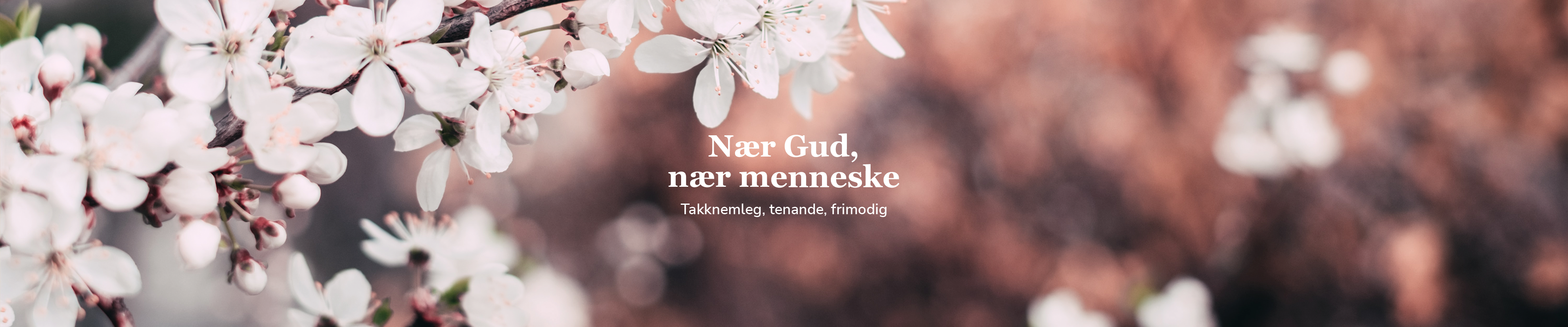 Toppbilde for Øygarden kyrkjelege fellesråd