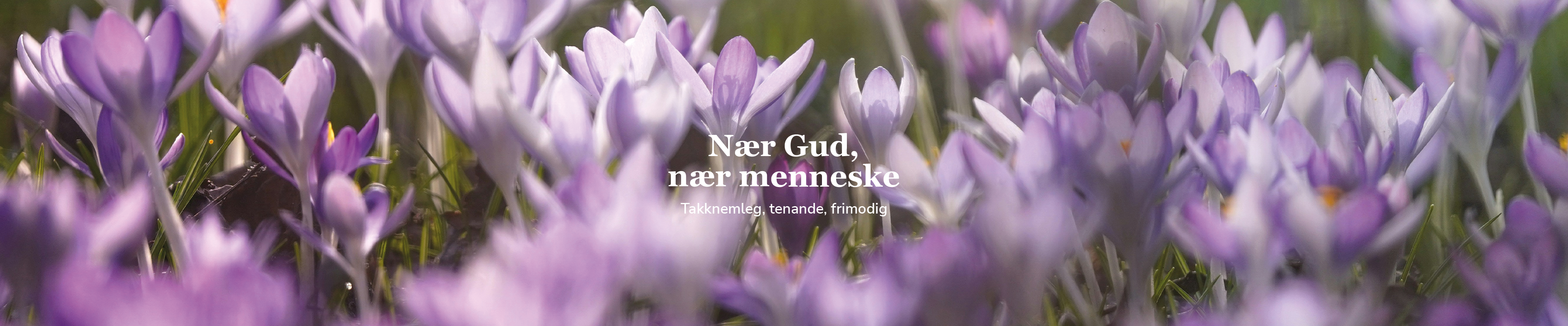 Toppbilde for Øygarden kyrkjelege fellesråd