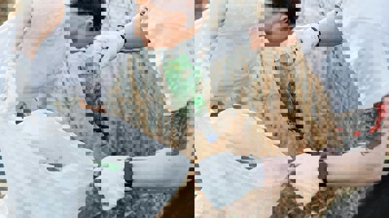 To mennesker plukker boss, en holder en hvit pose og en annen legger oppi en skitten flaske. de har hansker på seg