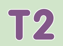 T2