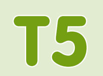 T5