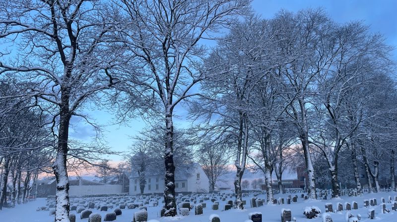 Året 2024 - i bilder